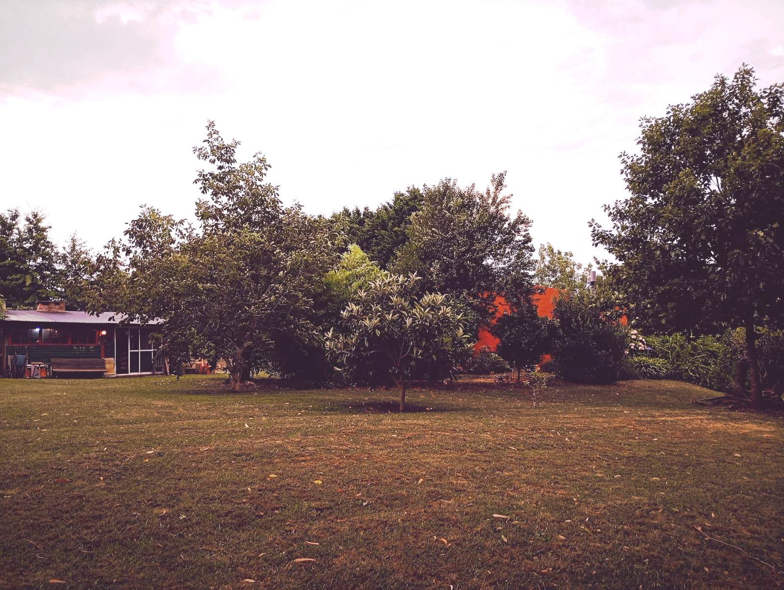 Imagen de Colinas de Sierras - Hermosa Casa Quinta, más cabaña, quincho y piscina. Muy Forestado. Gas Natural. 3.000 m2 e terreno