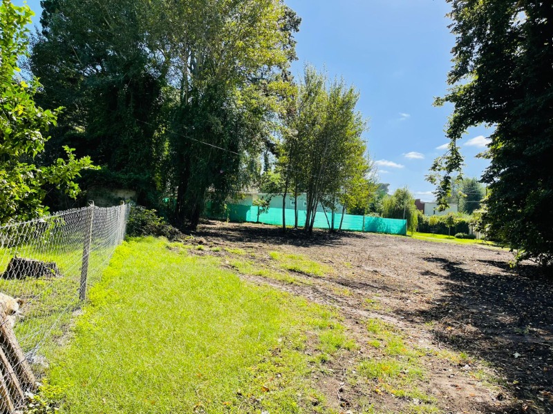 Propiedad 79 - Imagen 3