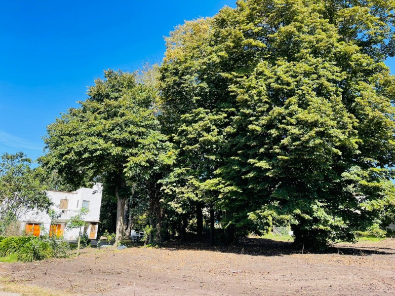 Propiedad 79 - Imagen 4